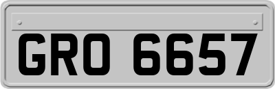 GRO6657