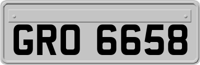 GRO6658