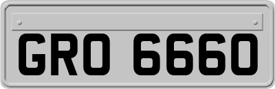 GRO6660