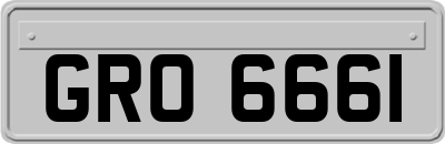 GRO6661