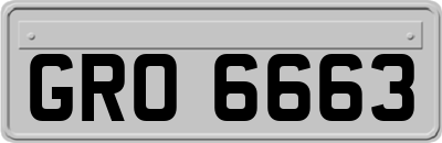 GRO6663