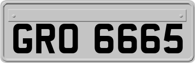 GRO6665