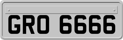 GRO6666