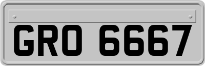 GRO6667