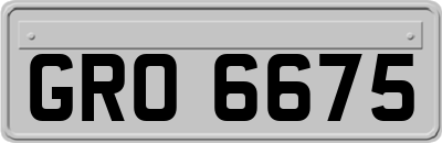 GRO6675