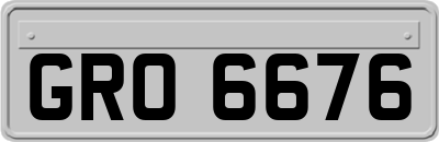 GRO6676