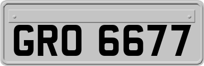 GRO6677