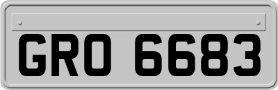 GRO6683