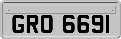 GRO6691