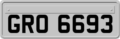 GRO6693