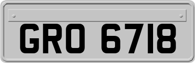 GRO6718