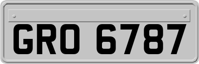 GRO6787