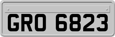 GRO6823