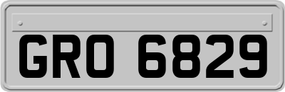GRO6829