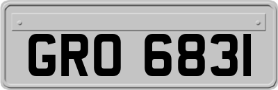 GRO6831