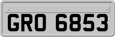 GRO6853