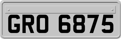 GRO6875