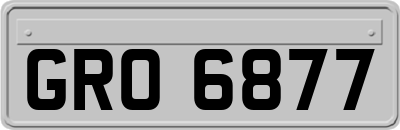 GRO6877