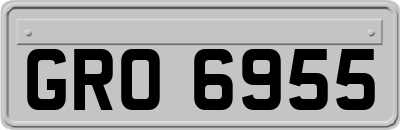 GRO6955