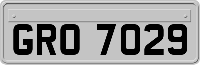 GRO7029