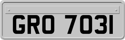 GRO7031