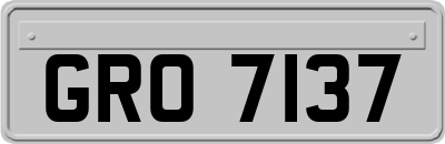GRO7137