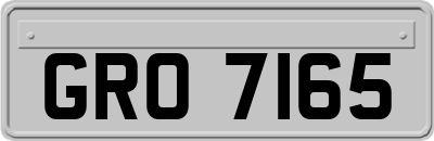 GRO7165