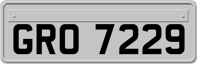 GRO7229