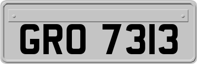 GRO7313