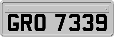 GRO7339
