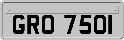 GRO7501