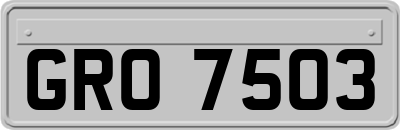 GRO7503