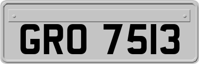 GRO7513