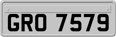 GRO7579