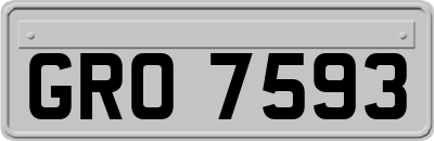 GRO7593
