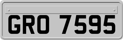 GRO7595