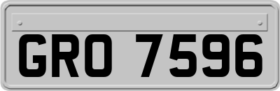 GRO7596
