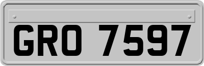 GRO7597