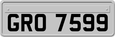 GRO7599