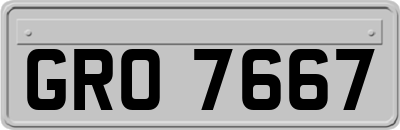 GRO7667