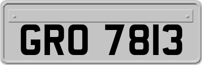 GRO7813