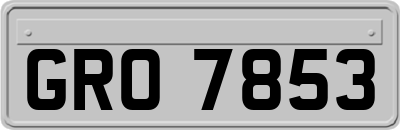 GRO7853