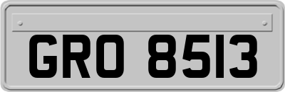 GRO8513