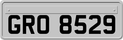 GRO8529