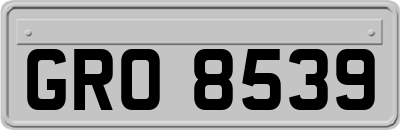 GRO8539