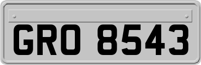 GRO8543