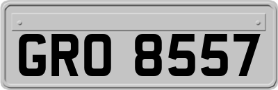 GRO8557