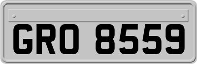 GRO8559