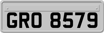 GRO8579