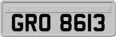 GRO8613